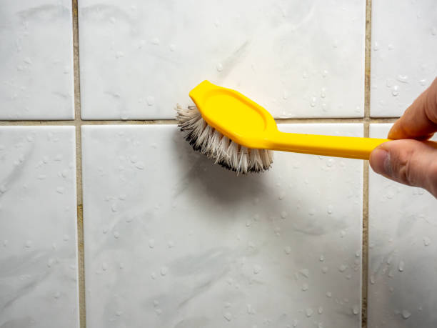 Best Affordable Mold Removal  in Lakeview, OR