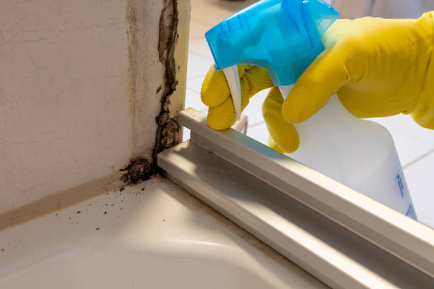Best Emergency Mold Removal  in Lakeview, OR