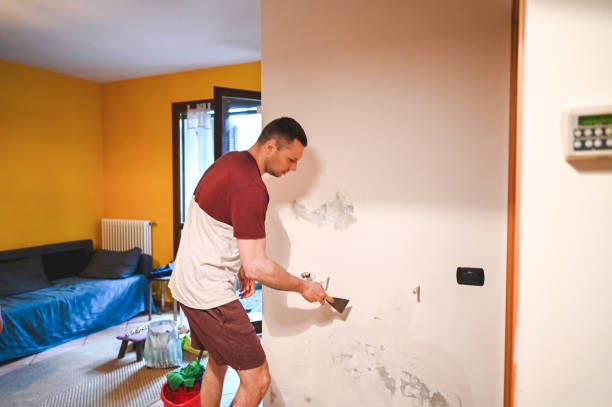 Best Mold Removal Near Me  in Lakeview, OR