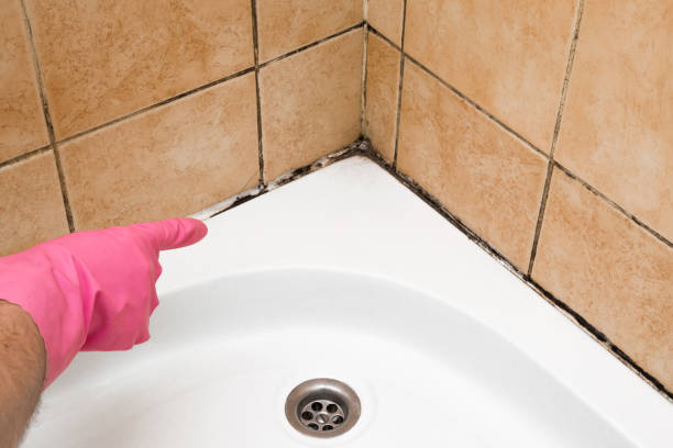Best Local Mold Removal Service  in Lakeview, OR
